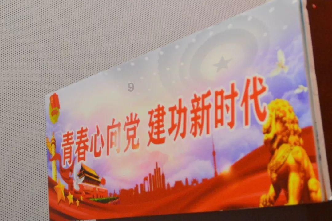 萌犬记忆卡